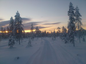 Swedish Winter landscape
