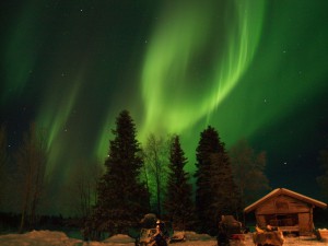 Northern Lights over the Scandinavian woods