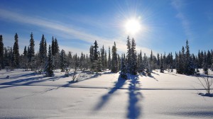 Arctic Winter Sweden