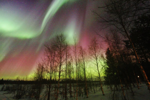 Northern Lights multi color
