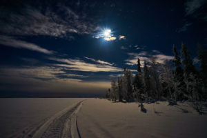 Full.moon-snowy-forest