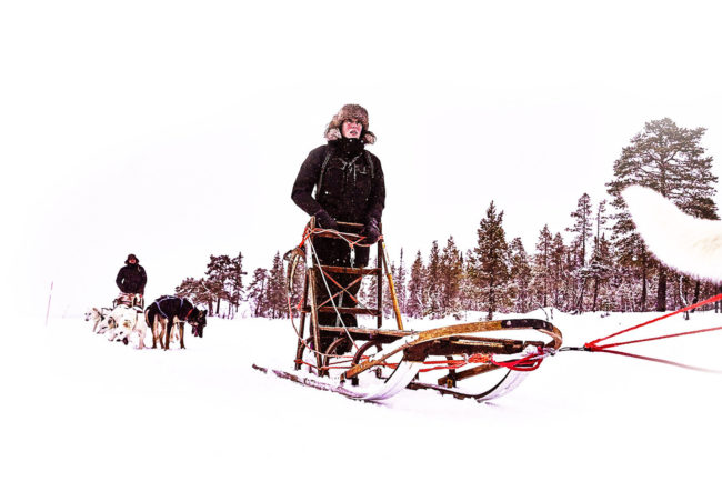 Meet the Huskies - Dog sleigh adventure - Desktop