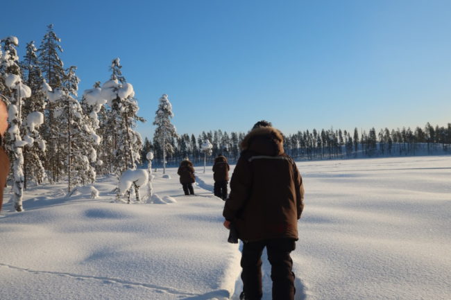 Lapland Guesthouse - Snowshoeing